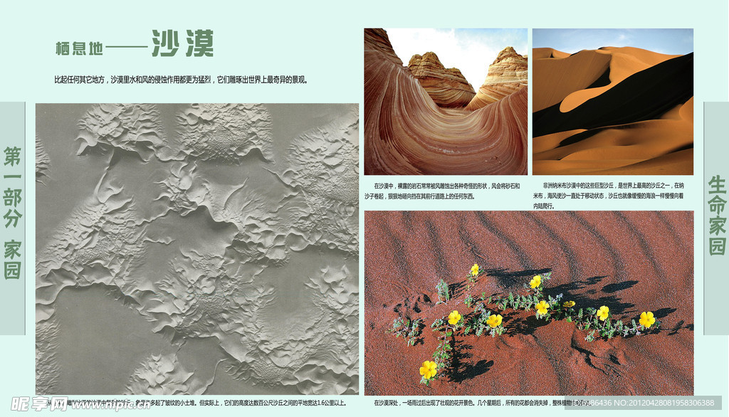 学校展板设计
