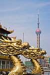 上海景观