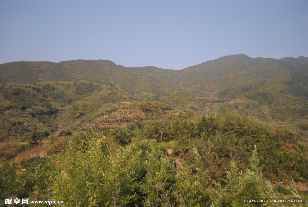 青山风景