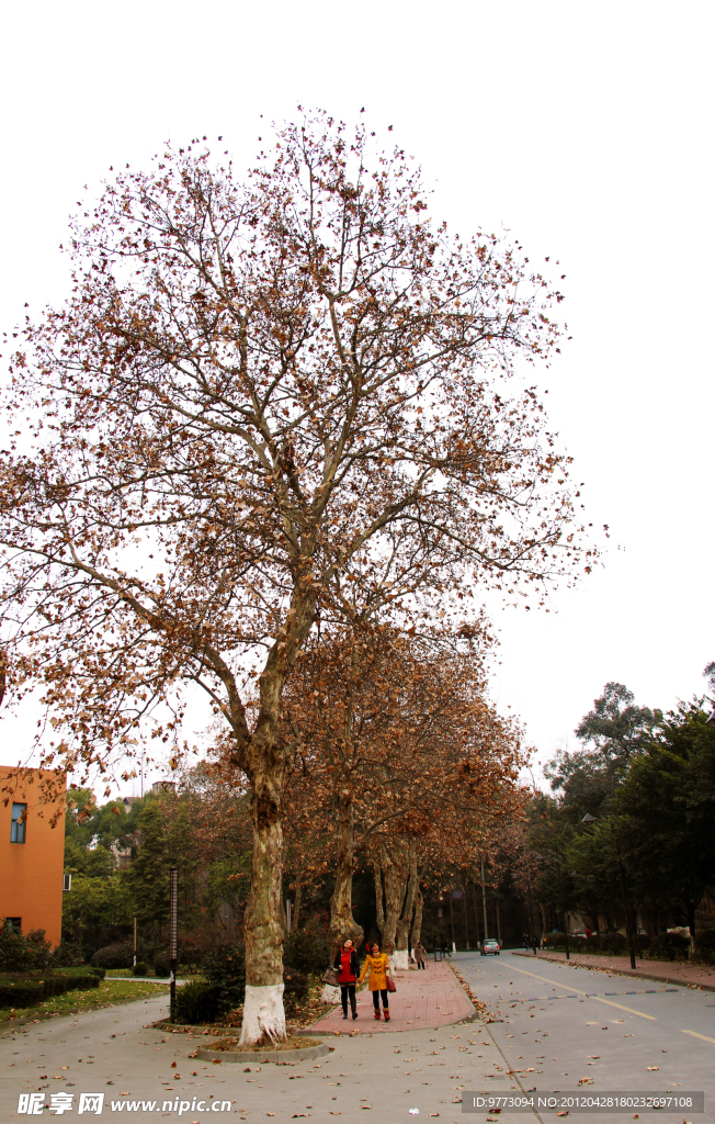 四川大学望江校区
