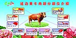 牛肉部位介绍