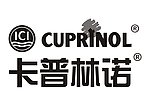 卡普林诺logo