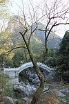 庐山
