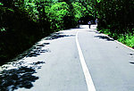 道路中的人影