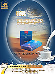 奶类宣传海报
