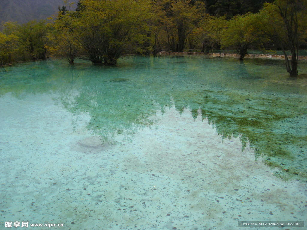 四川黄龙的湖水