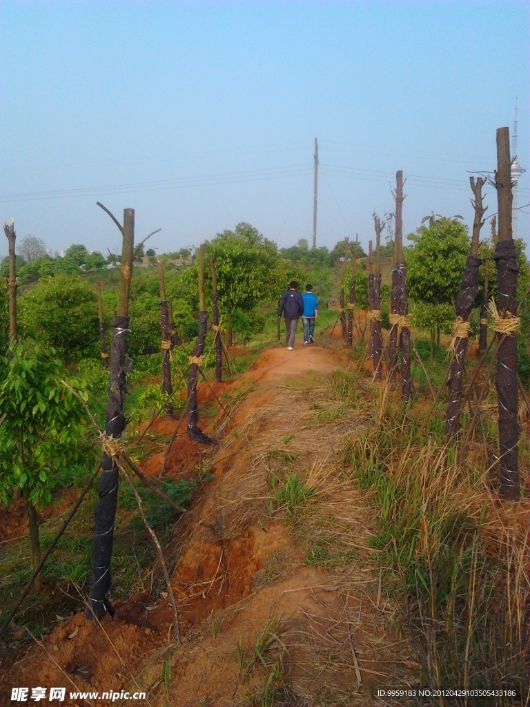 小山路