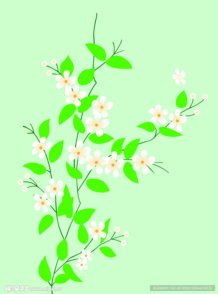 小白花