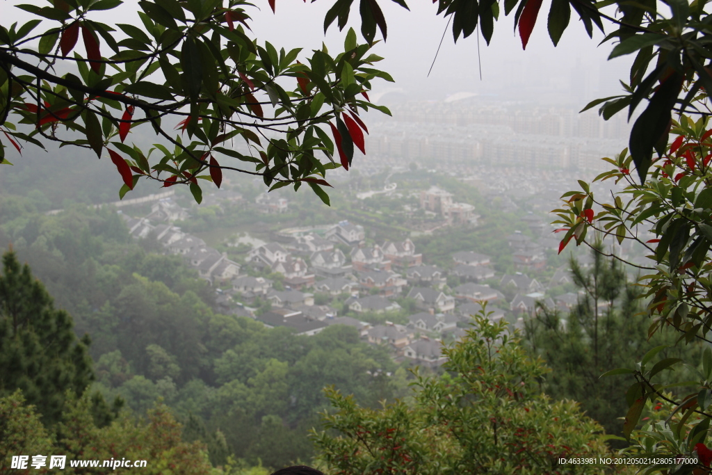 城市风景