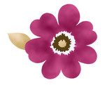 花纹