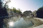 温泉 休闲山庄