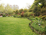 公园风景