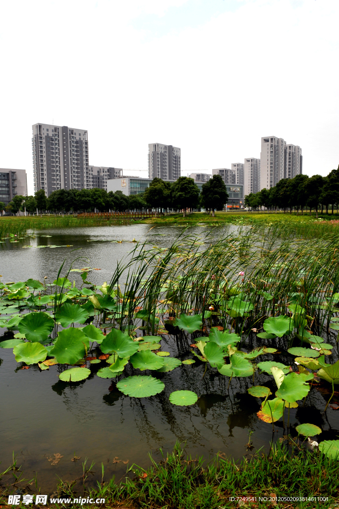 科技城小公园