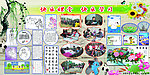 学校宣传栏