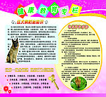 狂犬病防治知识