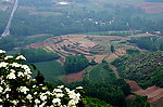 方山的山花