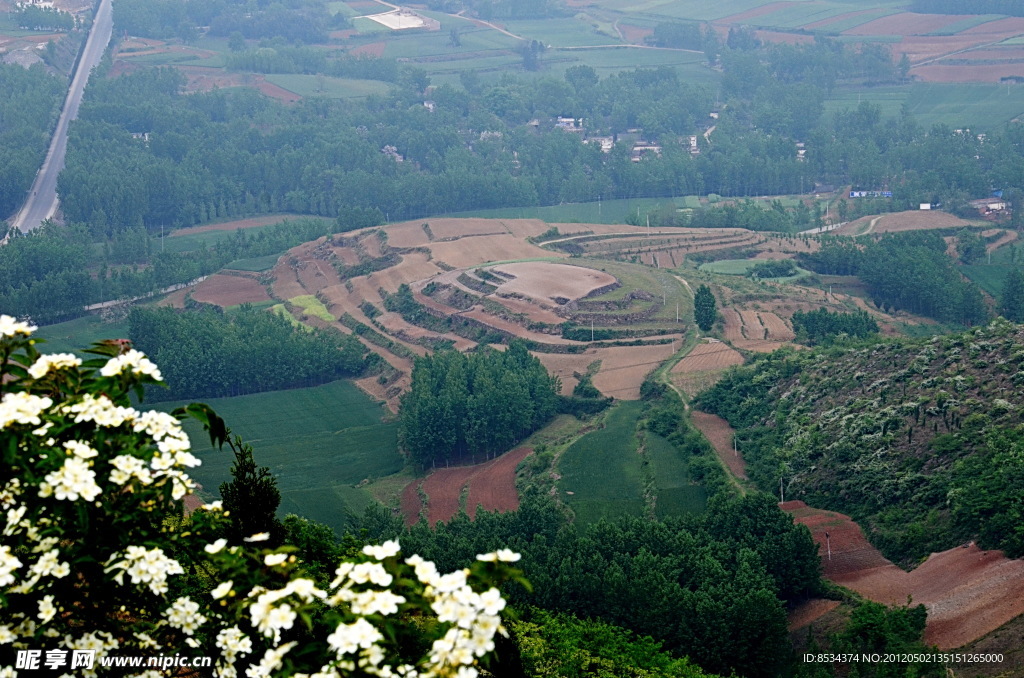 方山的山花