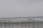 汾湖湖边