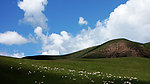 高山牧场（非高清）