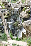 假山流水