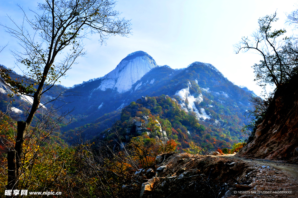 遥望远山