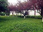 公园
