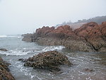海岸礁石