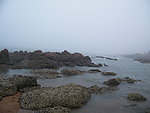 海岸礁石