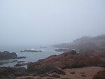 海岸礁石