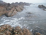 海岸礁石