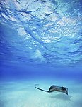 海底世界