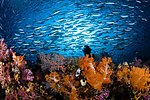 海底世界