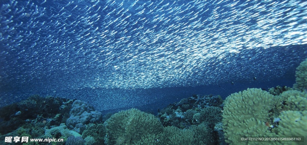 海底世界
