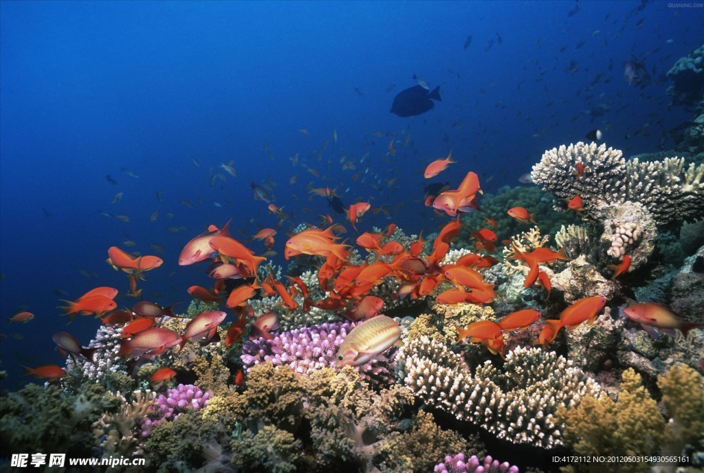 海底世界