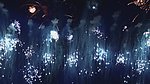 高清炫彩烟花素材