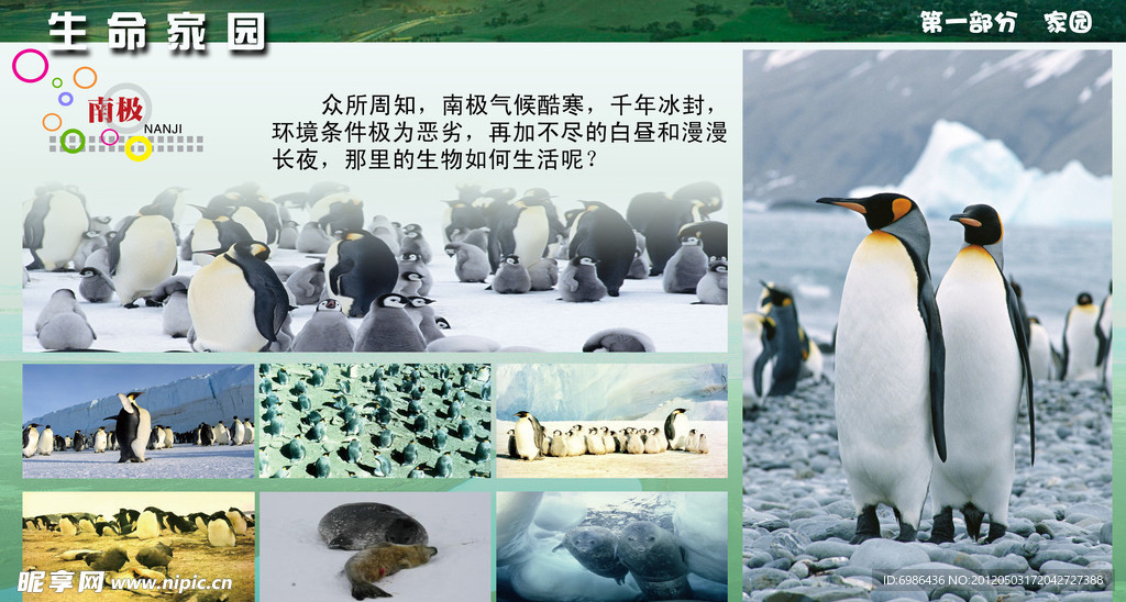 学校展板设计