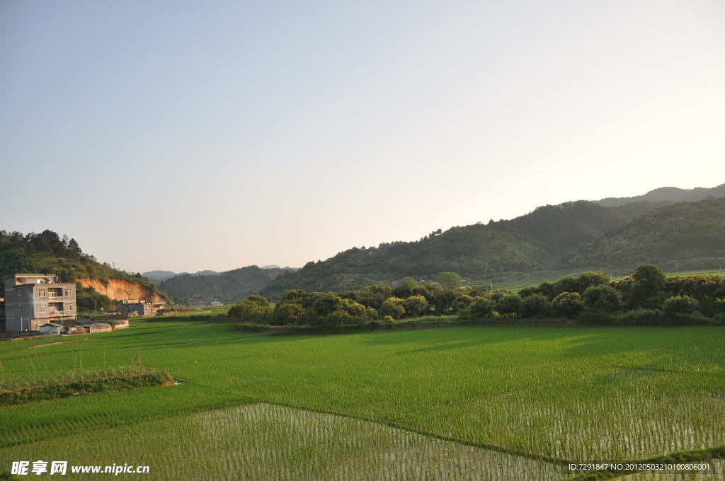 绿色小屋