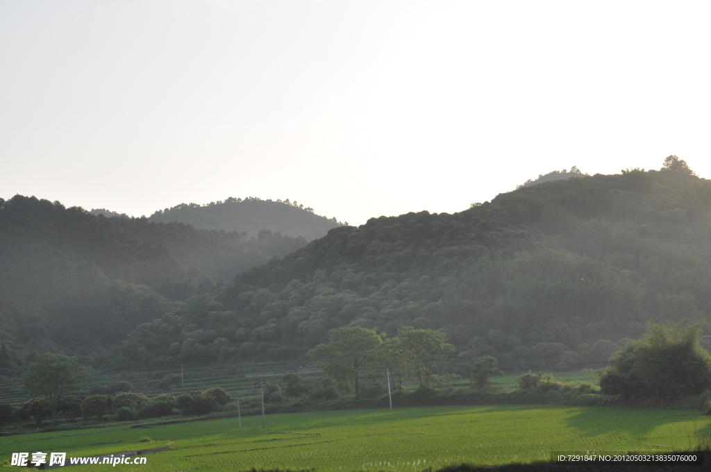 山 雾