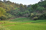 南方山谷