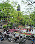 上海