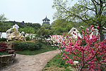 上海