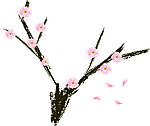 寒冬梅花