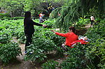 节日的公园