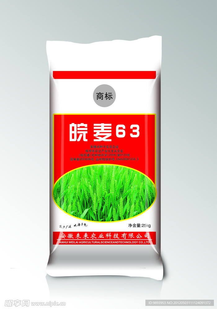 小麦种子