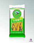 水稻种子