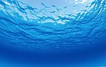 海水