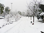 公园雪景
