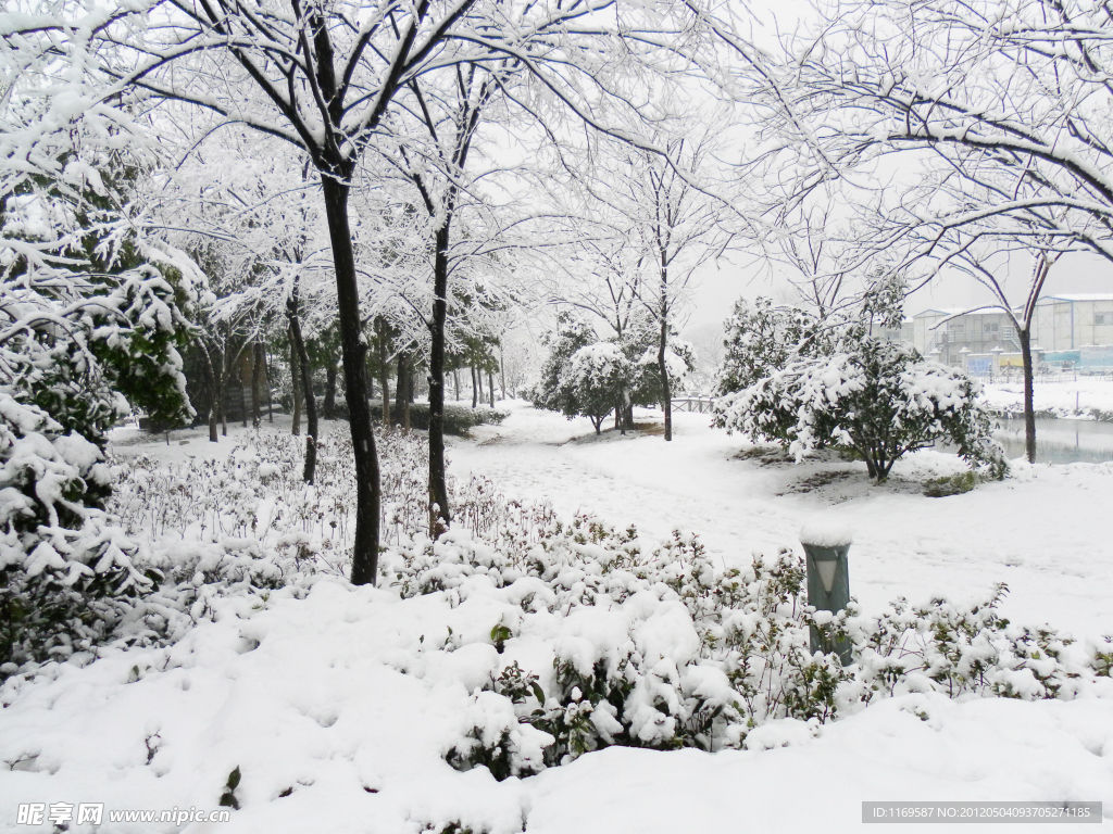 公园雪景