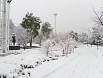 公园雪景