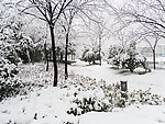 公园雪景